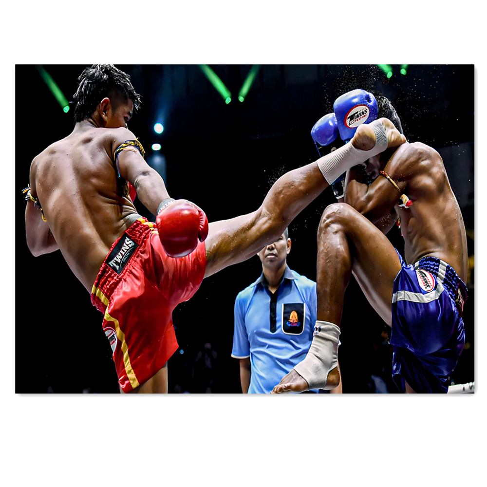 Home Gym Wallpaper - Muay Thai Kick Canvas Painting Fighter