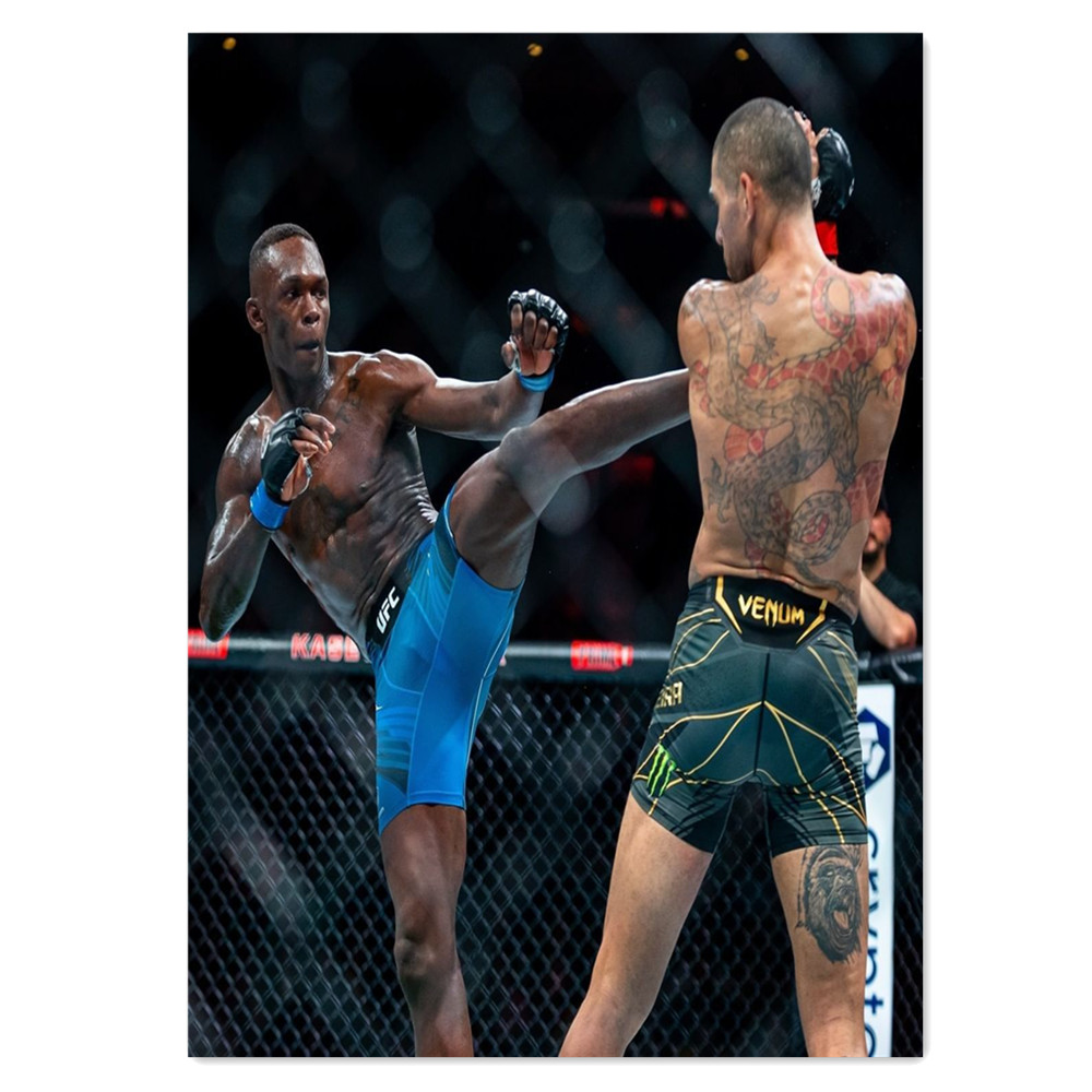 Boxing Bodybuilder Canvas Pain - огляд і ціна Home Gym Wallpaper